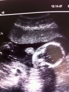 946945_760889589332_1445324929_n